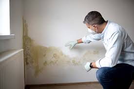 Best Air Quality Testing for Mold Spores  in Frazeysburg, OH